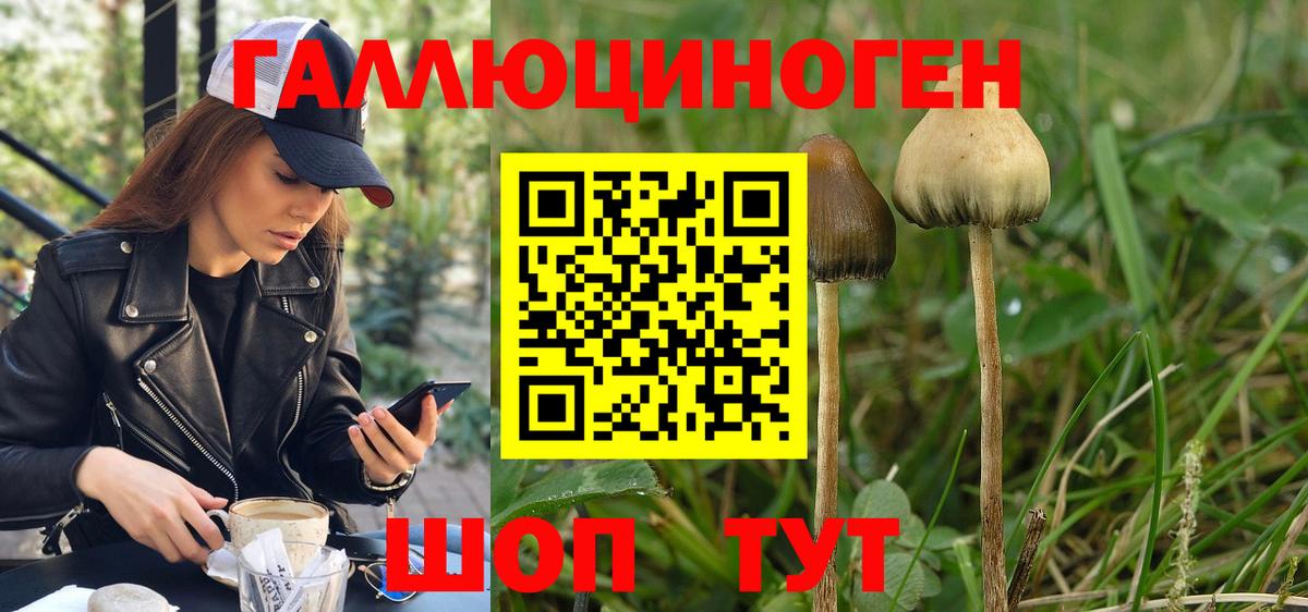 Псилоцибиновые грибы GOLDEN TEACHER Елабуга