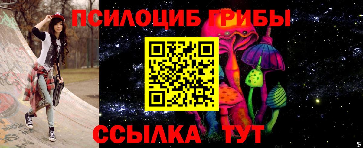 Елабуга  купить наркоту  Псилоцибиновые грибы мицелий  Вход с VPN  Псилоцибиновые грибы Psilocybe 